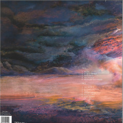 To Jupiter and Back LP