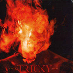 Adrian Thaws LP 2x12"