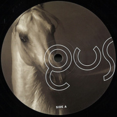 Arabian Horse 2x12"