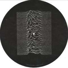Joy Division - Unknown Pleasures Slipmat