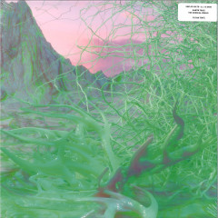 The Sensual World 2x12"