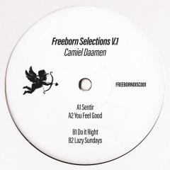 Freeborn Selections Vol 1 LP