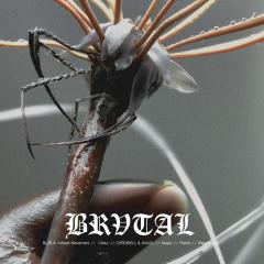 BRVOO08