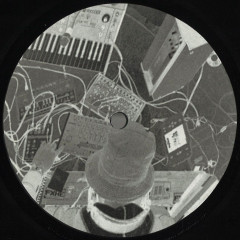 It Can Be Done, But Only I Can (2x12")