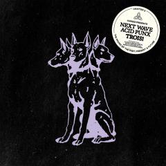 NEXT WAVE ACID PUNX TROIS - CHAPTER 3 LP 2x12"
