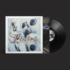 TROMPE LE MONDE (2026 REMASTER) - REISSUE