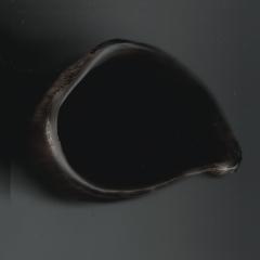 Can I Get A Chayah? (TAPE)