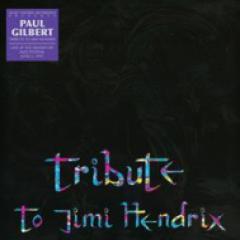 Tribute To Jimi Hendrix LP