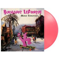 Music Evolution LP