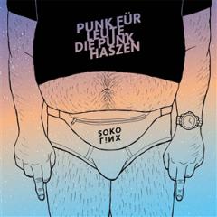 PUNK FÜR LEUTE, DIE PUNK HASZEN