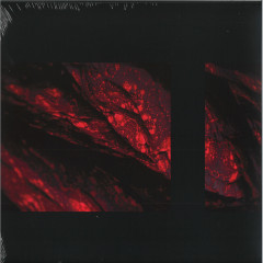 Shapeshifters Ep