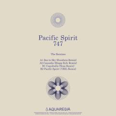 Pacific Spirit - The Remixes
