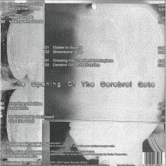 The Opening Of The Cerebral Gate 3x12"