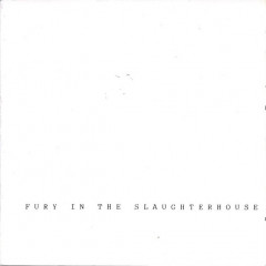 Fury in the Slaughterhouse
