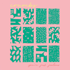 YOU'RE JUST JEALOUS LP