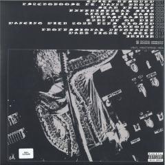 Revengeseekerz LP 2x12"