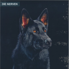 DIE NERVEN LP