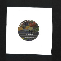 Ever Green / Heaven Knows