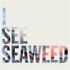 I SEE SEAWEED LP 2x12"
