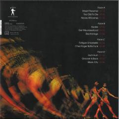 Doubts & Convictions LP 2x12"