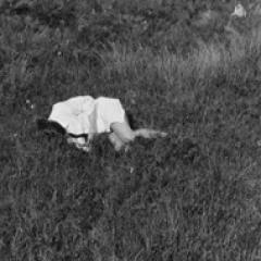 Wild Love LP