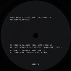 Selva Remixes Part 1