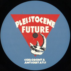 Pleistocene Future 5