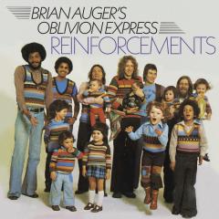 Reinforcements LP