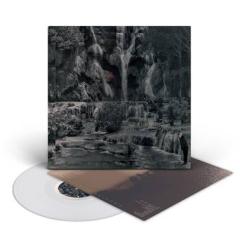 Punching The Clown LP