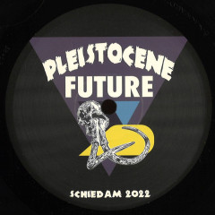 Pleistocene Future 3