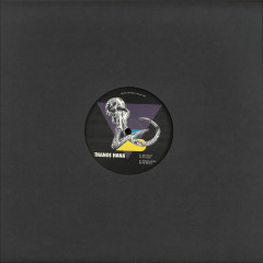 Pleistocene Future 3