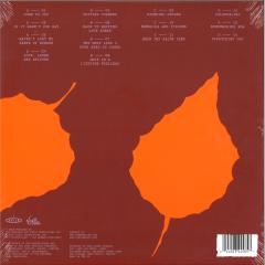 Remembering Now (LP 2x12")