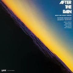 AFTER THE RAIN LP