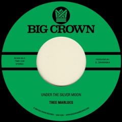 UNDER THE SILVER MOON / THROUGH THE CHANGES