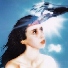Imaginal Disk Anniversary Vinyl LP 2x12"