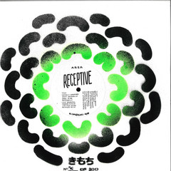 Receptive (Natan H, Leif, & Benjamin Brunn mixes)