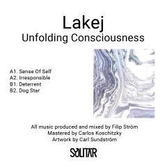 Unfolding Consciousness LP