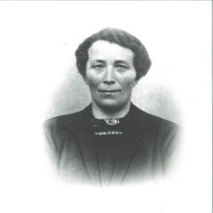 Holtslag