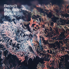 Benoît Pioulard - Sylva