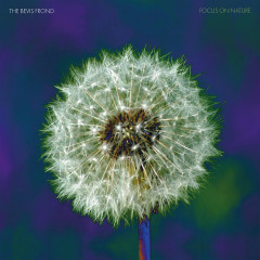 FOCUS ON NATURE LP 2x12"