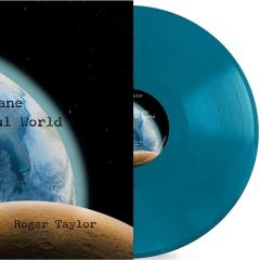 Violence Insane in a Beautiful World LP