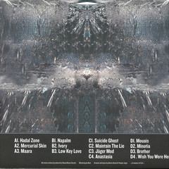 Mercurial Skin 2x12"