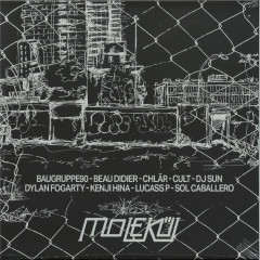 Stuck In The Loop 2x12"