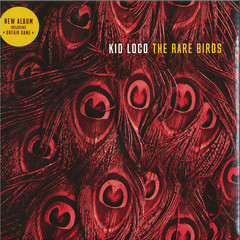 The Rare Birds 2x12"