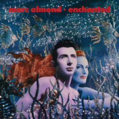 Enchanted LP 2x12"