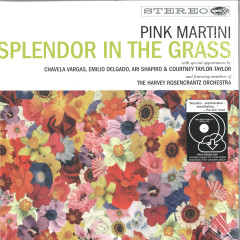Splendor In The Grass LP 2x12"