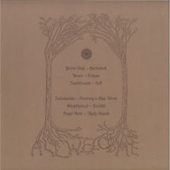 All Welcome Volume 3