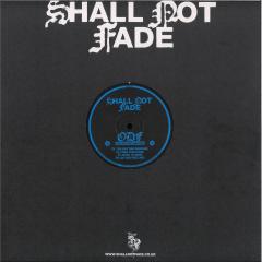 The Rhythm Grooves