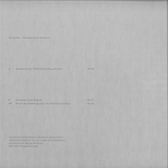 Daemmerlicht Remixes