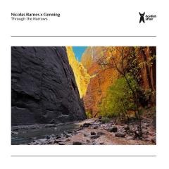 Through the Narrows 2x12"